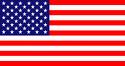 amarican flag