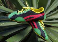 basket rasta br�sil taygra olodum afro reggae