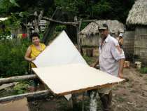 mise sur cadre de tissu pour la préparation du cuir végétal taygra amazonie