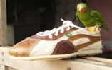 Tennis TAYGRA �cologique en cuir v�g�tal et toile de jute