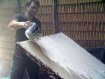 versement du lait d'h�v�a sur les nappes de coton avant d�fumation pour la r�asliation du Tissu de la for�t TAYGRA