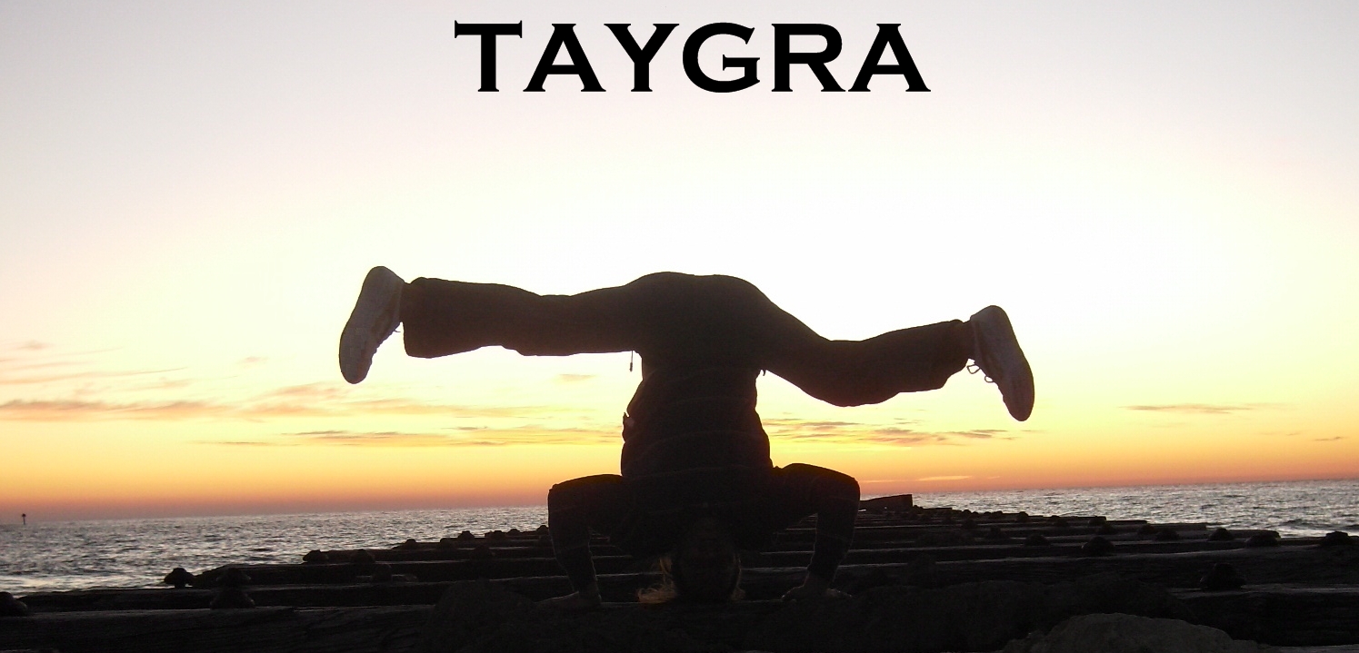 capoeira taygra
