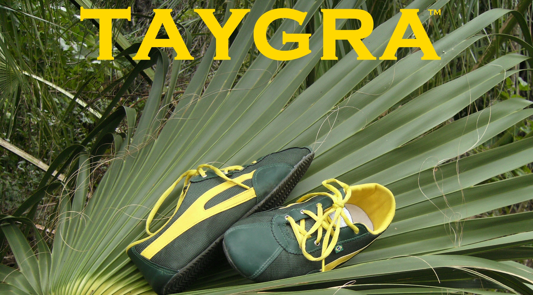 plv-taygra-vert-jaune-feuille-palmtree shoes