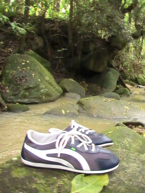 movie taygra brazil rasteira tennis shoes